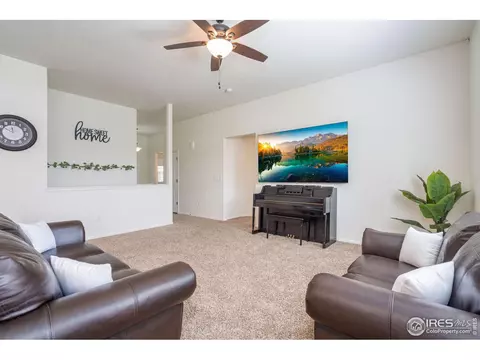 309 Shadowbrook Dr, Windsor, CO 80550 photo 5
