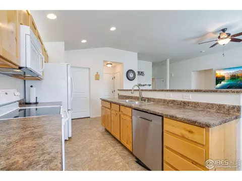 309 Shadowbrook Dr, Windsor, CO 80550 photo 12