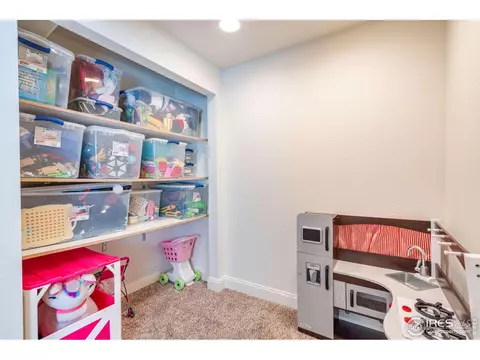 309 Shadowbrook Dr, Windsor, CO 80550 photo 26