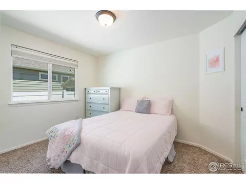 309 Shadowbrook Dr, Windsor, CO 80550 photo 16