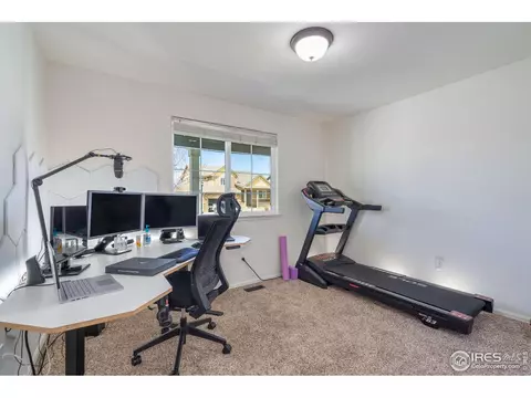 309 Shadowbrook Dr, Windsor, CO 80550 photo 17