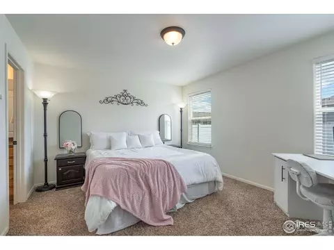 309 Shadowbrook Dr, Windsor, CO 80550 photo 14