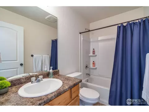 309 Shadowbrook Dr, Windsor, CO 80550 photo 24
