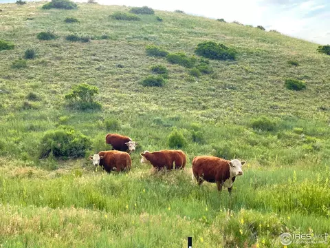 7050 Bennet Rd, Berthoud, CO 80513 photo 35