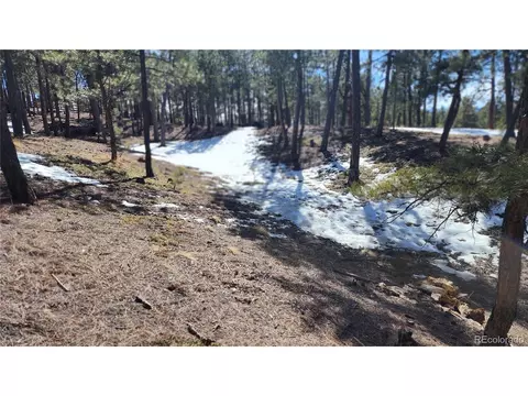 17536 Colonial Park Dr, Monument, CO 80132 photo 11