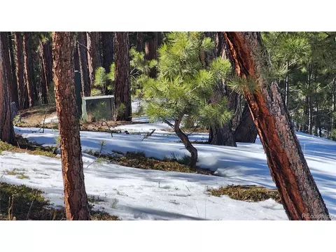 17536 Colonial Park Dr, Monument, CO 80132 photo 5
