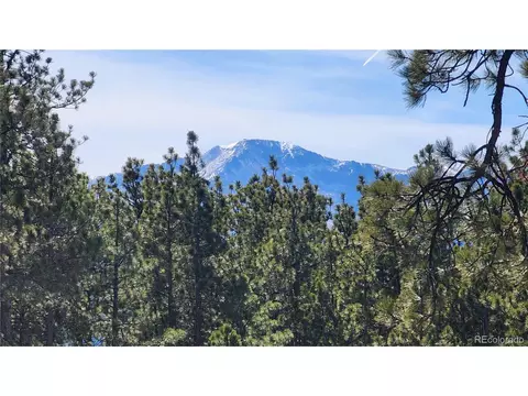 17536 Colonial Park Dr, Monument, CO 80132 photo 4