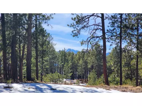 17536 Colonial Park Dr, Monument, CO 80132 photo 7