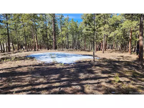 17536 Colonial Park Dr, Monument, CO 80132 photo 3