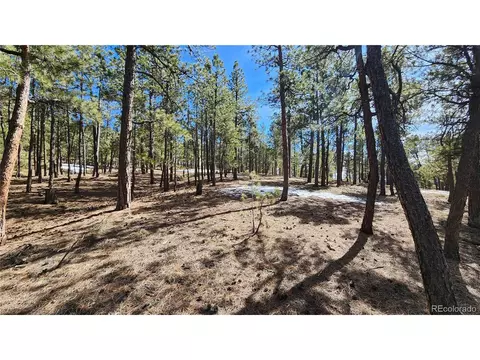 17536 Colonial Park Dr, Monument, CO 80132 photo 10