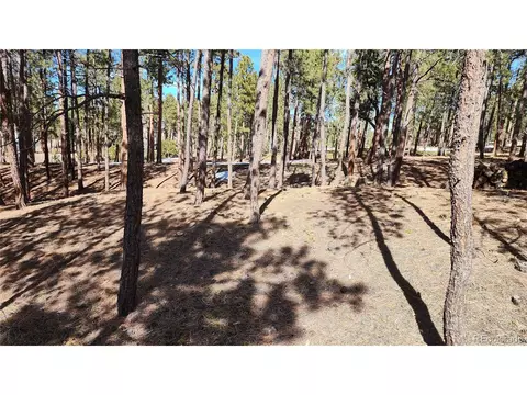 17536 Colonial Park Dr, Monument, CO 80132 photo 12
