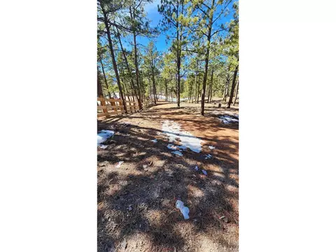 17536 Colonial Park Dr, Monument, CO 80132 photo 16