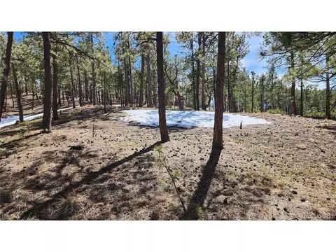 17536 Colonial Park Dr, Monument, CO 80132 photo 9