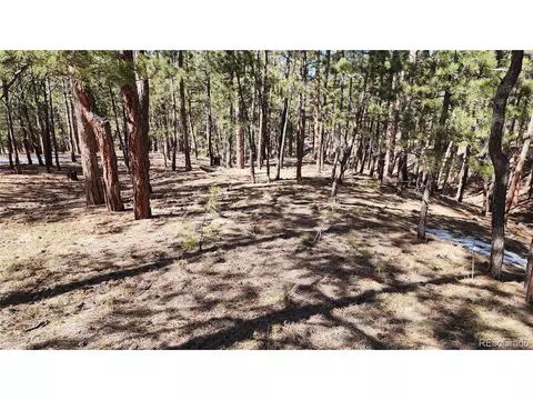 17536 Colonial Park Dr, Monument, CO 80132 photo 8