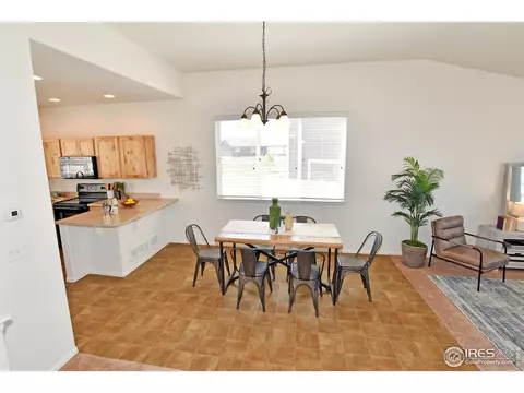 1045 Cherrybrook Dr, Windsor, CO 80550 photo 8