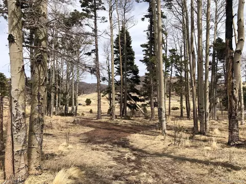 1816 Forbes Park Rd, Fort Garland, CO 81133