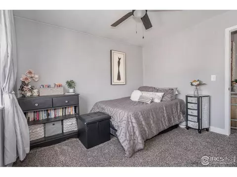 1119 3rd St, Windsor, CO 80550 photo 19