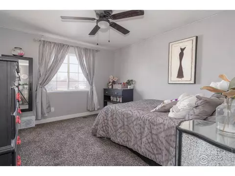 1119 3rd St, Windsor, CO 80550 photo 20