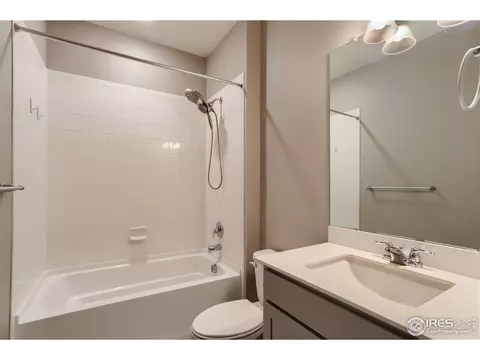 1723 Floret Dr, Windsor, CO 80550 photo 20