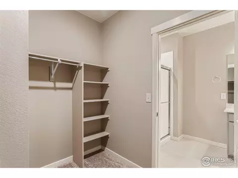 1723 Floret Dr, Windsor, CO 80550 photo 15