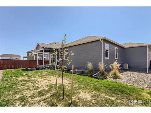 1723 Floret Dr, Windsor, CO 80550 photo 26