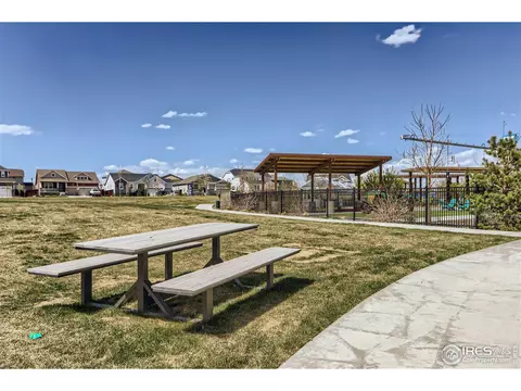 1723 Floret Dr, Windsor, CO 80550 photo 29