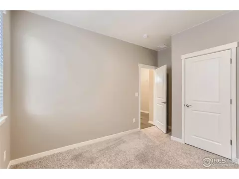 1723 Floret Dr, Windsor, CO 80550 photo 19