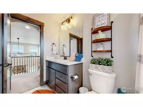 6094 Maidenhead Dr, Windsor, CO 80550 photo 33