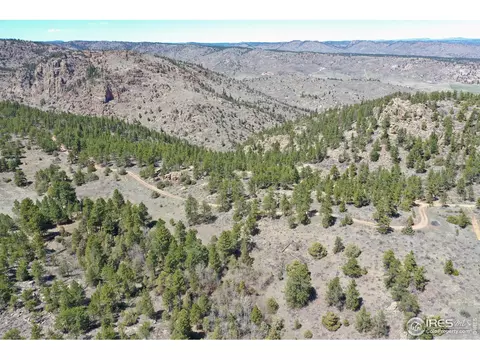 442 Thiem Dr, Livermore, CO 80536