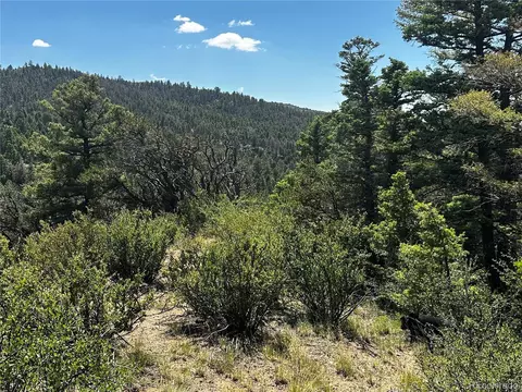 5915 Hoadley Rd, Fort Garland, CO 81133