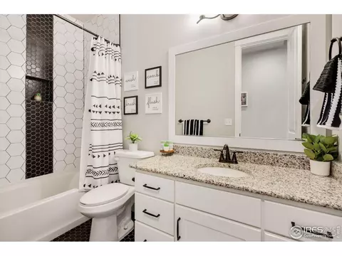 1430 Tule Dr, Severance, CO 80550 photo 17