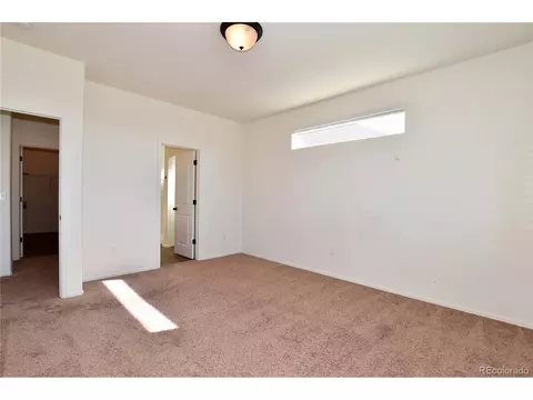 448 Kendalbrook Dr, Windsor, CO 80550 photo 19
