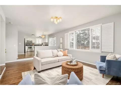10063 Silver Maple Rd, Highlands Ranch, CO 80129 photo 16