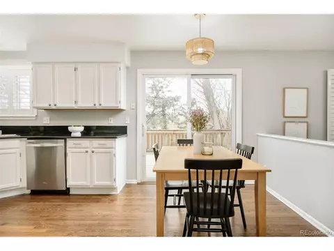 10063 Silver Maple Rd, Highlands Ranch, CO 80129 photo 9