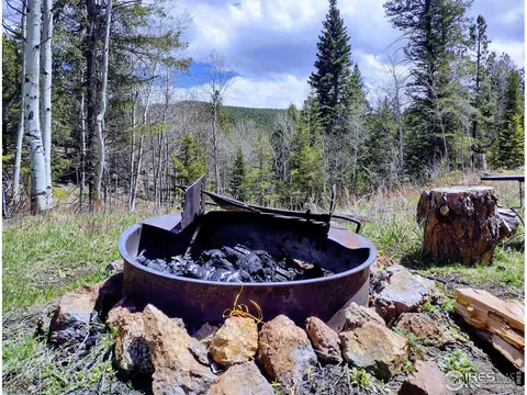 450 Ridge Rd, Ward, CO 80481 photo 12