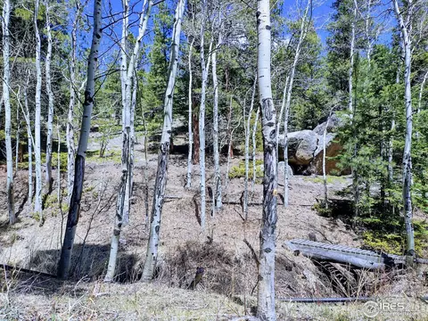 450 Ridge Rd, Ward, CO 80481 photo 5