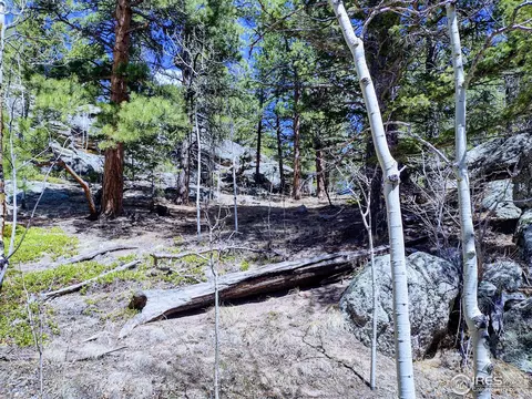 450 Ridge Rd, Ward, CO 80481 photo 16