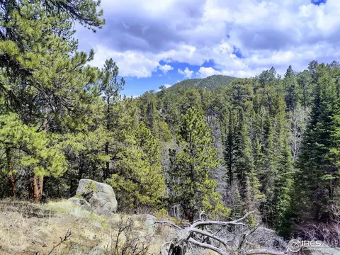 450 Ridge Rd, Ward, CO 80481 photo 22