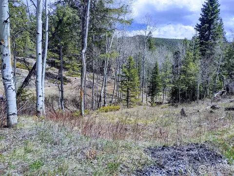 450 Ridge Rd, Ward, CO 80481 photo 21