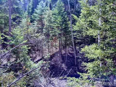450 Ridge Rd, Ward, CO 80481 photo 19