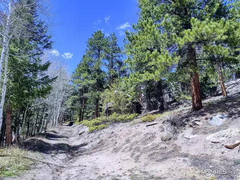 450 Ridge Rd, Ward, CO 80481 photo 20