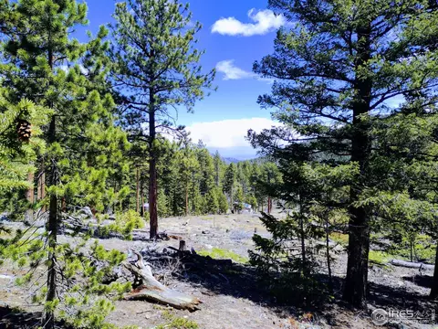 450 Ridge Rd, Ward, CO 80481