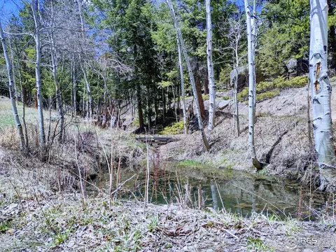 450 Ridge Rd, Ward, CO 80481 photo 3