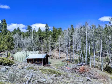 450 Ridge Rd, Ward, CO 80481 photo 9