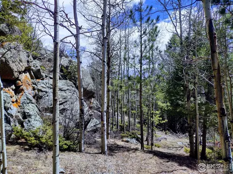 450 Ridge Rd, Ward, CO 80481 photo 17