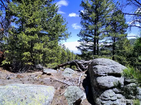 450 Ridge Rd, Ward, CO 80481 photo 7