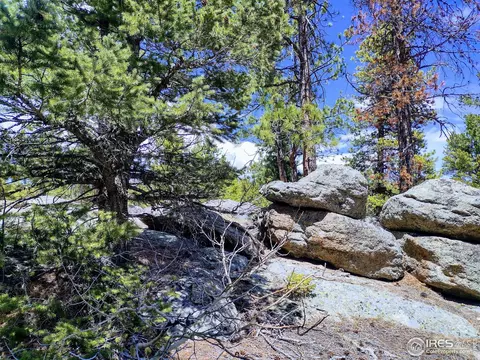 450 Ridge Rd, Ward, CO 80481 photo 6