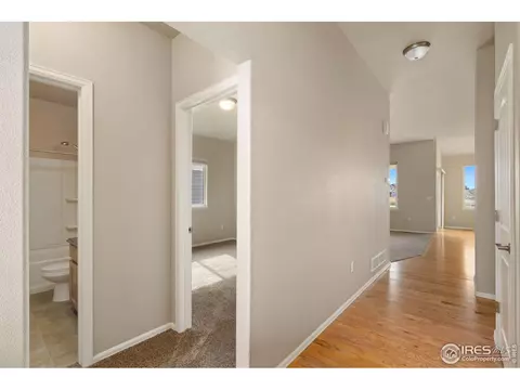 1529 Wavecrest Dr, Severance, CO 80550 photo 4
