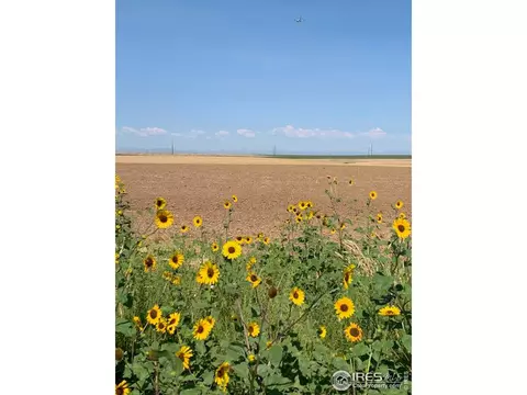 0 Parcel 3 - Tbd Manilla Rd, Bennett, CO 80102 photo 9