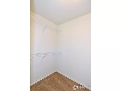 836 Forest Canyon Rd, Severance, CO 80550 photo 30